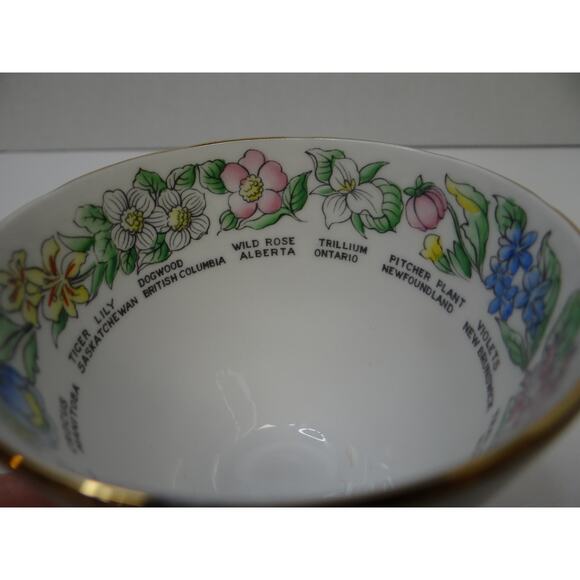 Floral Emblems of Canada  tea cup/ saucer Royal Stafford Bone China Collectable - Picture 10 of 12